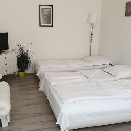 Apartament Schiller 58 Брашов Экстерьер фото